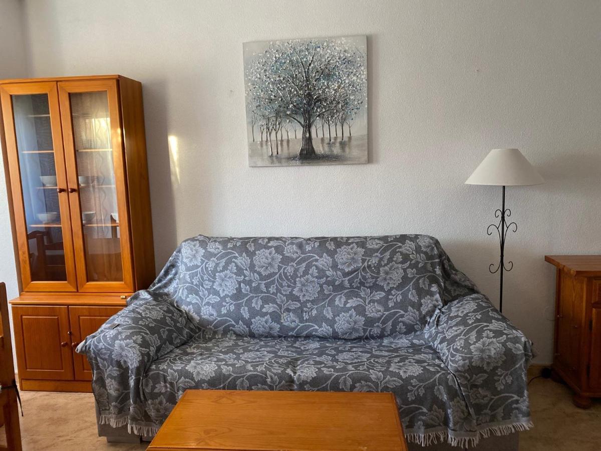 Apartamento Caballero De Rodas 托雷维耶哈 外观 照片